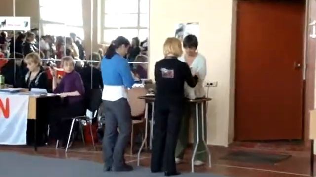 Вилли у эксперта смотреть онлайн