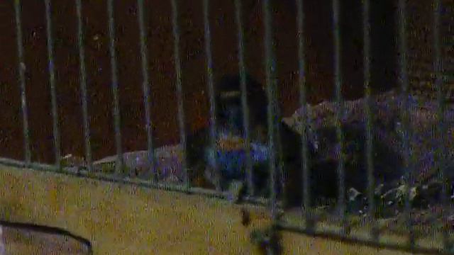 Варак соло смотреть онлайн