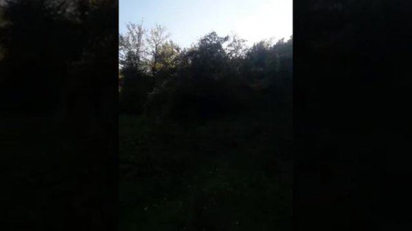 CASE SCAPINI: Borgo fantasma non lontano da Castel Bardi d'Emilia