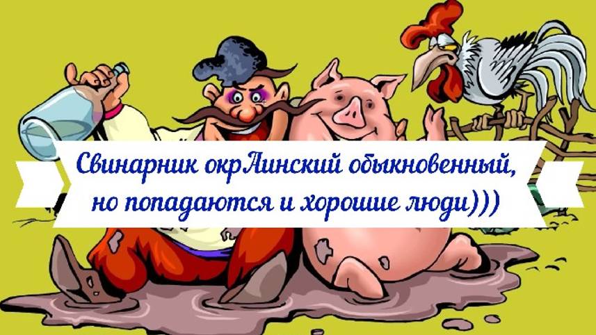 Вечерний стационар 25-28.08.24 смотреть онлайн