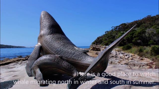 Kamay Botany Bay National Park (South), Kurnell, NSW Australia смотреть онлайн