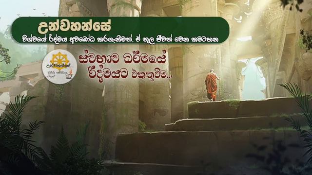 විශ්වයේ රිද්මය තුල ජීවත් වෙන්නට... ඔබ ශ්රවණය කළ යුතුම දේශනාව. _Niwan Dakimu смотреть онлайн