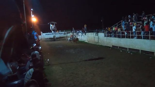 toros coleados en guasdualito..🐂 смотреть онлайн