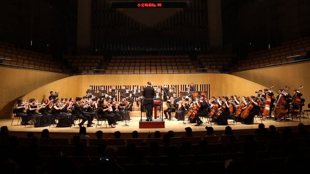 GOUVY Sinfonietta Op.80 en Ré Majeur, 2°mouvement смотреть онлайн