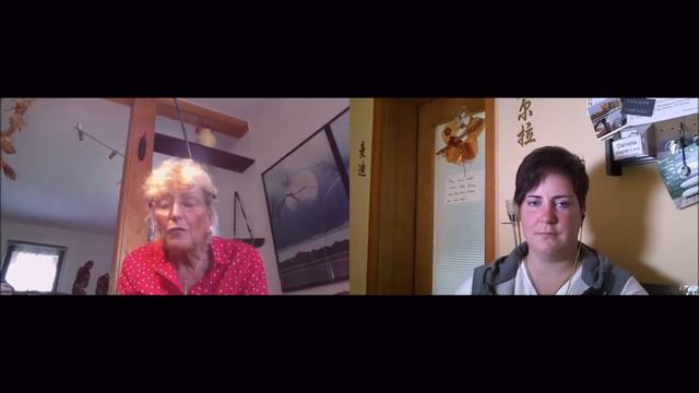 Interview mit V. Sauer über Leber-Gallenreinigung nach Sauer Natürlich länger leben смотреть онлайн