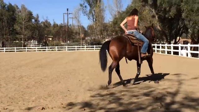 Cookie and dakota lollis смотреть онлайн