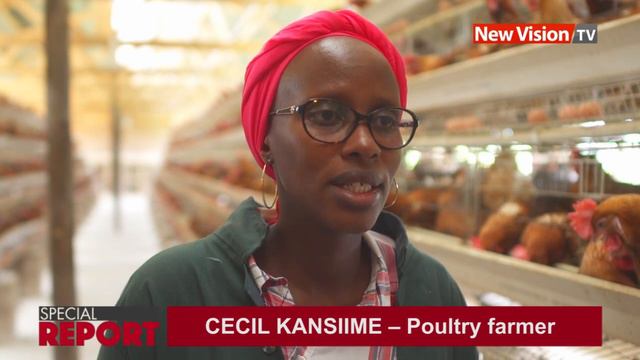 How to manage a large poultry farm смотреть онлайн