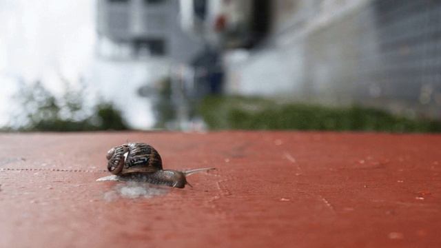 ДДТ - Что Такое Осень смотреть онлайн