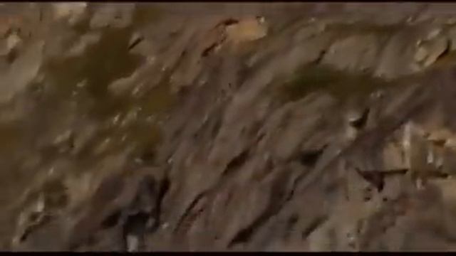 Wingsuit (вингсьют)! Разве люди не летают?