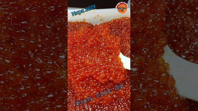 fish_time_56_ikra24.mp4 смотреть онлайн