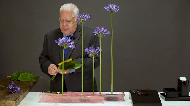 IKEBANA 活け花　　　　　　　ESTUDO DE LINHA e FACE @Erisson.Thompson смотреть онлайн