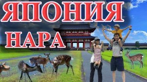 Поездка в город Нара, Япония