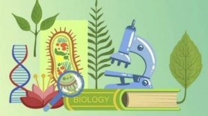 Биология 5 класс. Водоросли.--