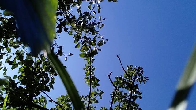20240921_120517.mp4 смотреть онлайн