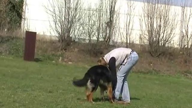 Denisa a Speedy смотреть онлайн