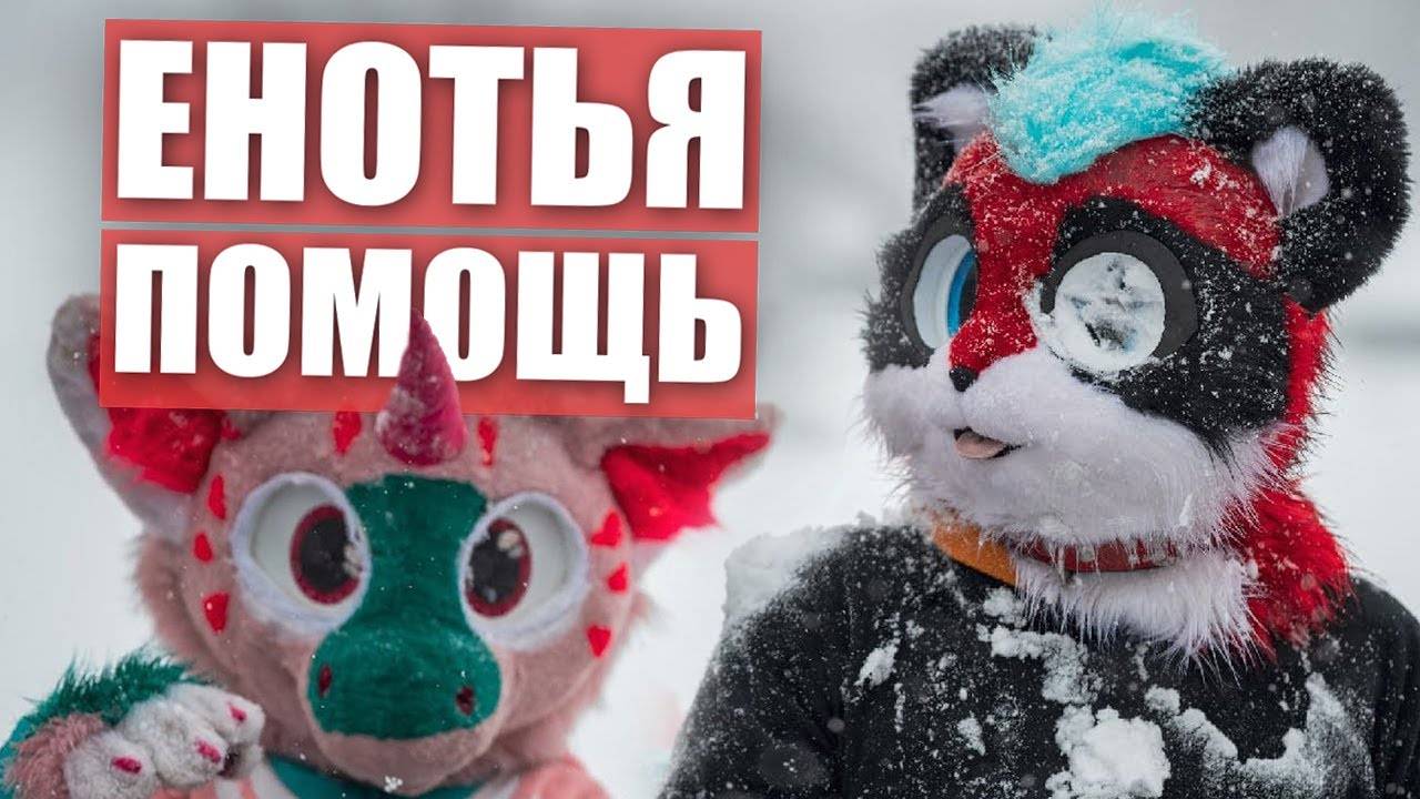 Первая помощь от ЕНОТА. ФУРРИ встреча в МОСКВЕ смотреть онлайн