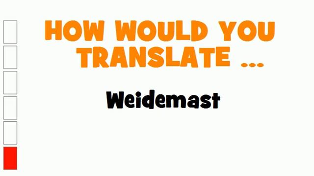 GERMAN TRANSLATION QUIZ = Weidemast смотреть онлайн