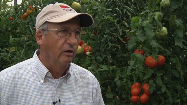 Emeritus Professor Randy Gardner: Developing Better Tomatoes Using Heirloom Varieties смотреть онлайн