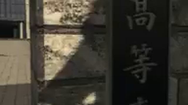 tekken 3 Panda www.team-uripa.tk смотреть онлайн