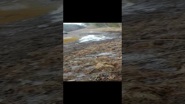 VID_20240510_115957.mp4