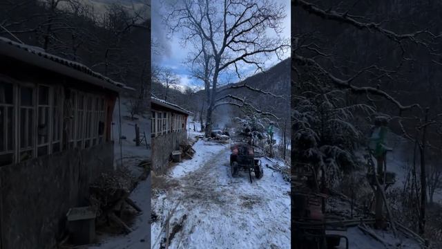 Зима в горах ПАНКИСИ. смотреть онлайн