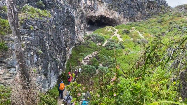 The Cape to Cape Track - End to End смотреть онлайн