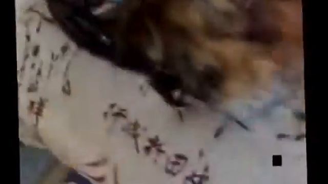 Как накачаться смотреть онлайн