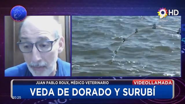 NOTICIERO 9 -JUAN PABLO ROUX - VEDA DE DORADO Y SURUBÍ VIDEOLLAMADA смотреть онлайн