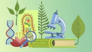 Биология 6 класс. Дыхание.--