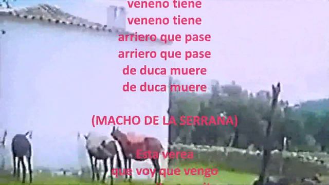 José Menese con Enrique de Melchor. Serrana - La venta del chaparro смотреть онлайн