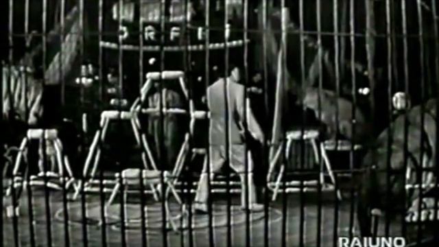 Speciale Orlando Orfei: Claudia Cardinale nella gabbia dei leoni (anni ’60) смотреть онлайн