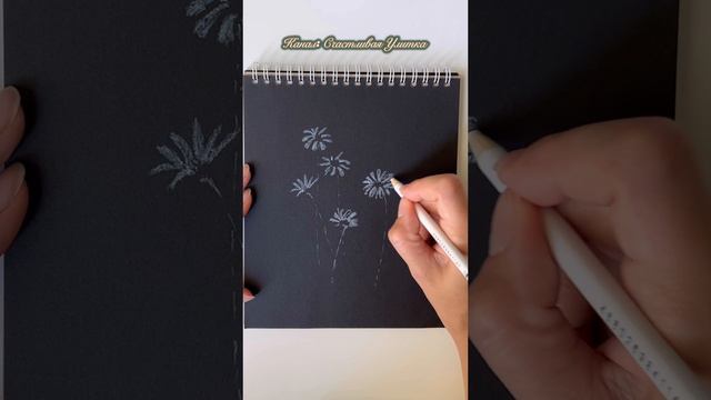 Рисунок белым карандашом на черном смотреть онлайн