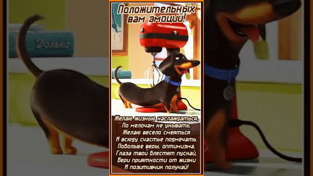 Желаю чудесного настроения!🐶 💌 смотреть онлайн