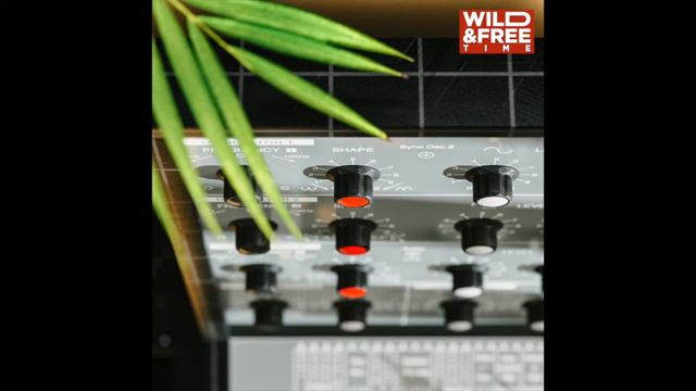 Wild & Free - Time смотреть онлайн