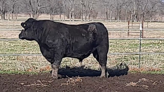 video 7 смотреть онлайн