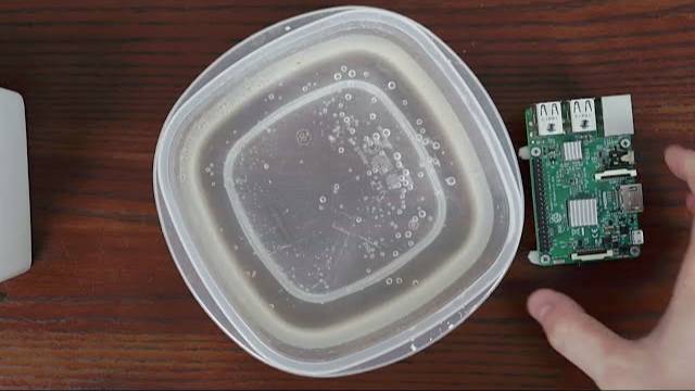 do arm processors float? смотреть онлайн