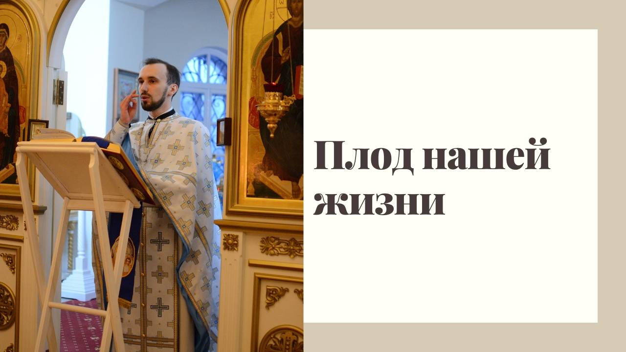 Достойный плод нашей жизни смотреть онлайн