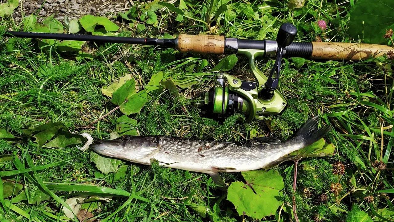 Микро-щука на микро-джиг. Рыбалка в Подмосковье. Джиговая ловля. смотреть онлайн