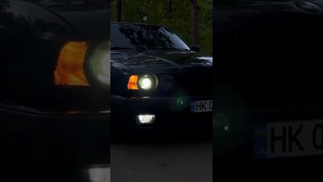 Докажи всем, что они не правы.