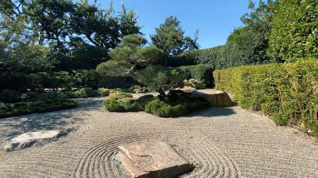 Long Beach Earl Burns Miller Japanese Garden Cinematic Walk Thru смотреть онлайн