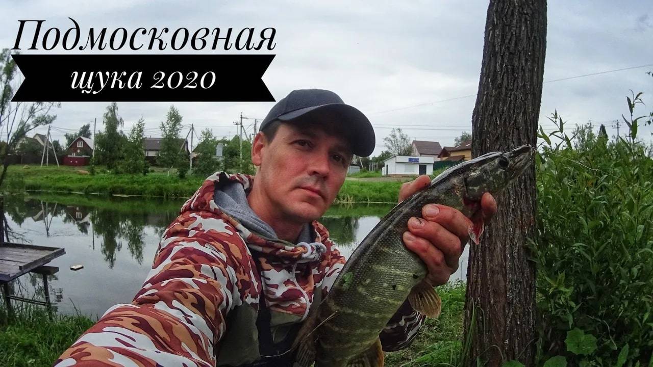 Щука в Подмосковье клюёт! Рыбалка. смотреть онлайн