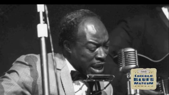 Jimmy Reed - Shame, Shame, Shame смотреть онлайн
