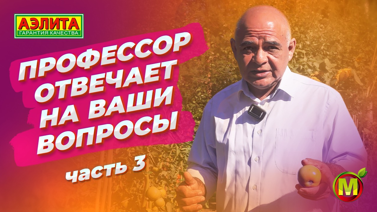 Профессор отвечает на ваши вопросы: часть 3. ТОМАТЫ В ОТКРЫТОМ ГРУНТЕ смотреть онлайн
