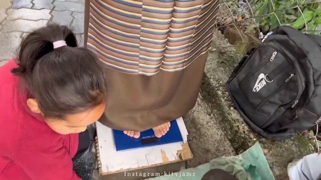 Getting blessings from his holiness |Where am I going??#Dharamsala #Tibetanvlogger смотреть онлайн