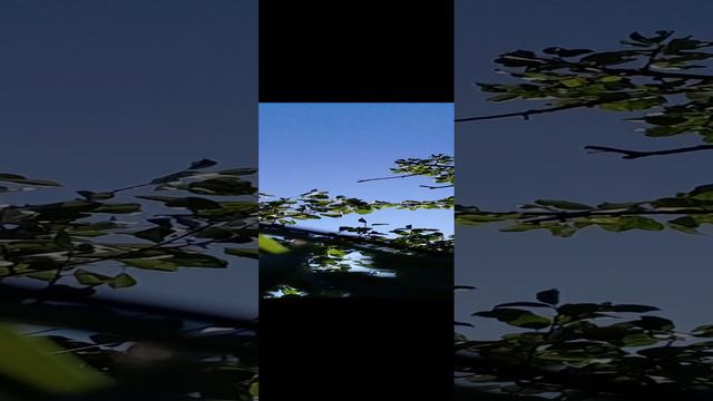 20240921_121102.mp4 смотреть онлайн