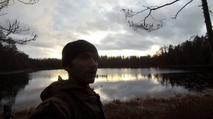 охота с мелкашкой см-2ко//открываю капканы на куницу