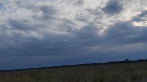 Мотоблок! Реальный расход в реальном времени!