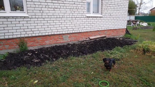 Готовим огород к зиме | Мотивация | Как устранить из жизни 