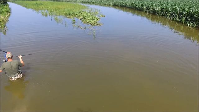 Drone footage of DRILL-A-GILL BOWFISHING in White River backwaters in Peterburg, Indiana. 7-19-17 смотреть онлайн