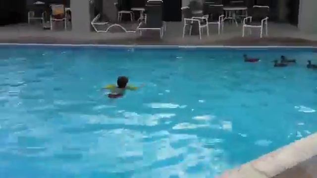 Elliot in the pool with ducks смотреть онлайн